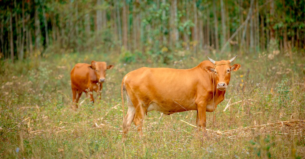 ภาพฤกษ์ดี วันมงคล เปิดร้าน เปิดกิจการ
