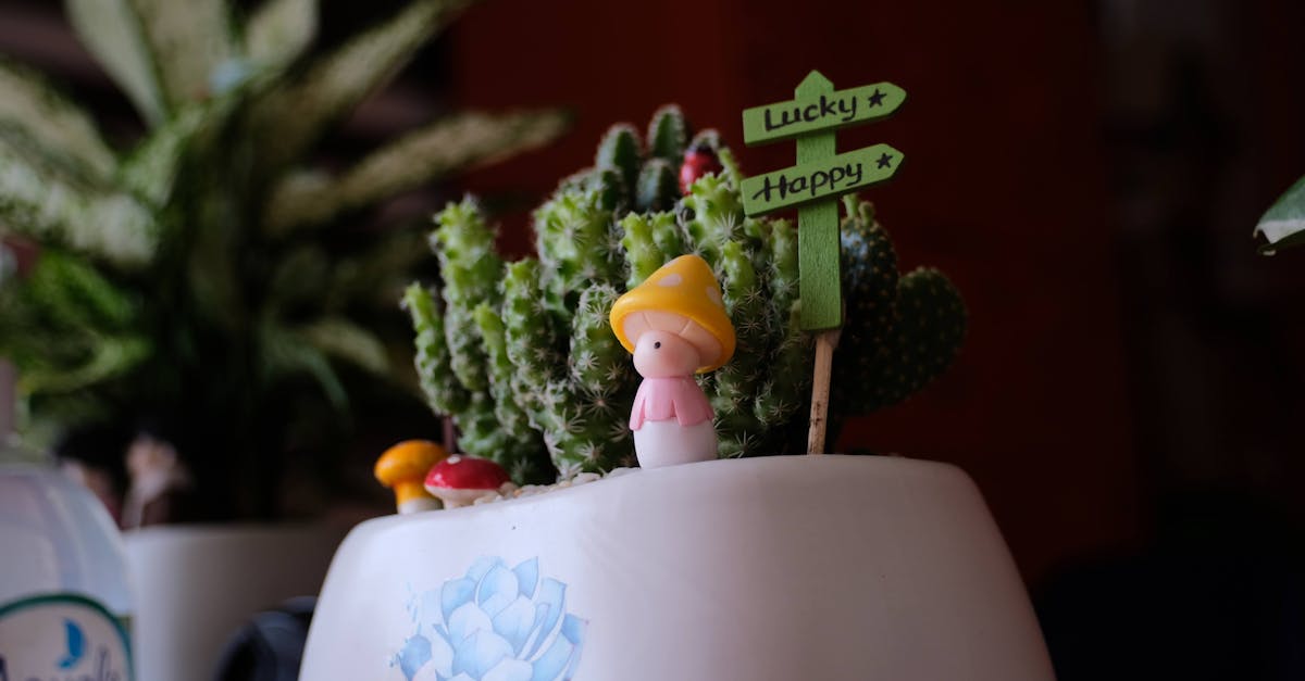 ดูดวงรายวัน 12 ราศีวันนี้