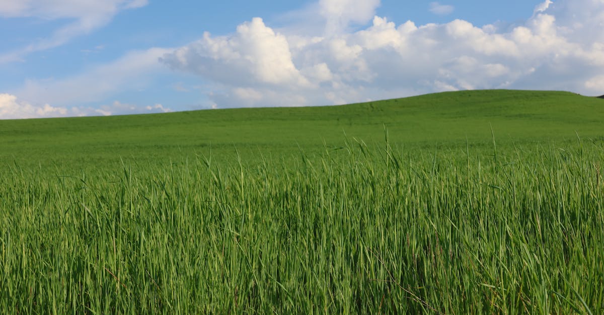 ภาพคาถาเสริมโชคลาภก่อนเสี่ยงดวง