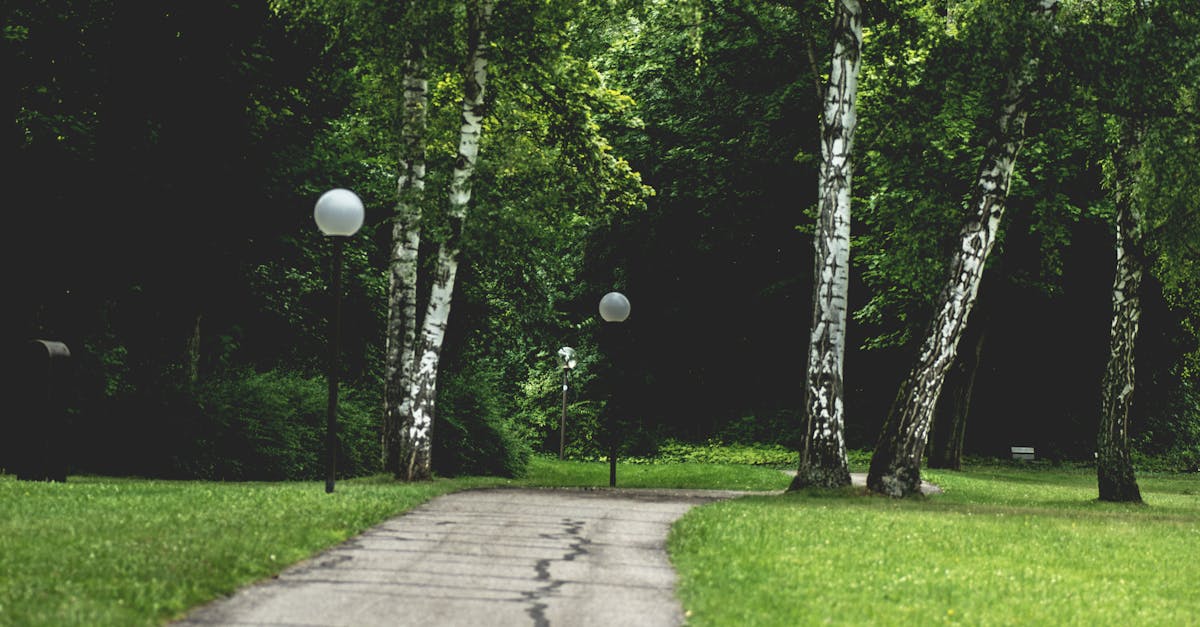 ภาพของคนทำบุญแก้ชงเพื่อเสริมดวง