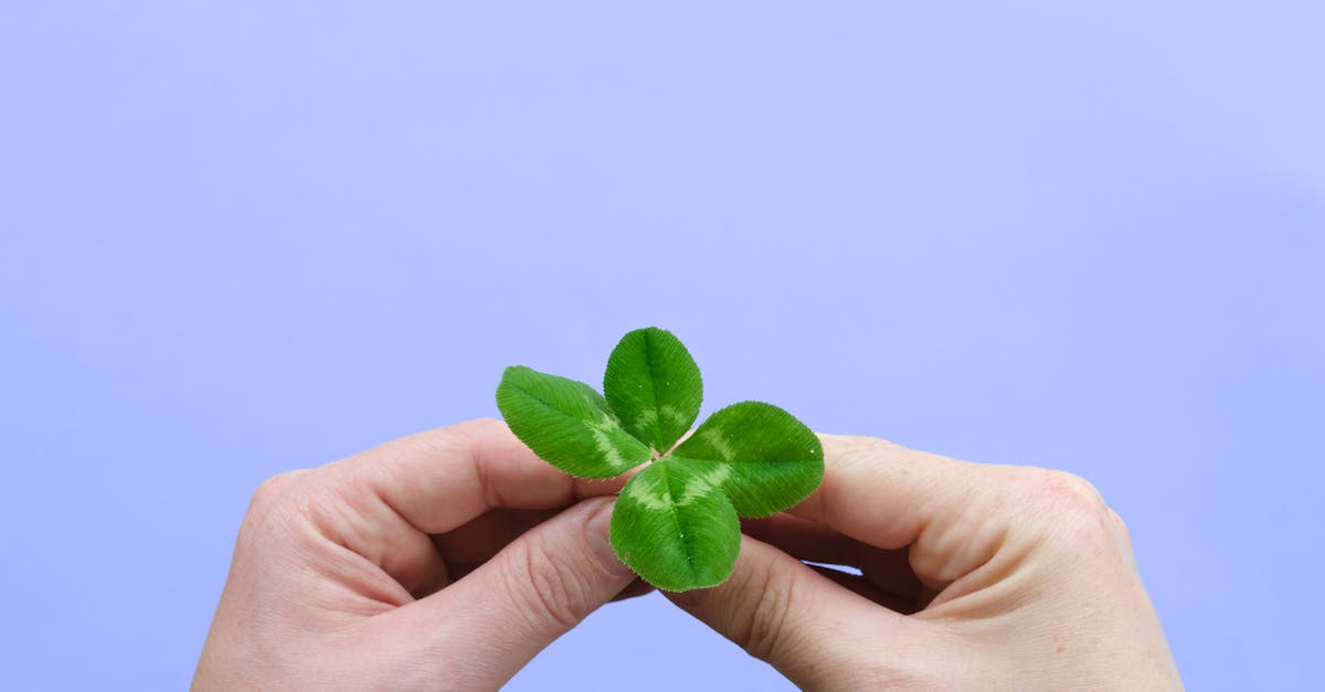 คาถาเสริมโชคลาภก่อนเสี่ยงดวง