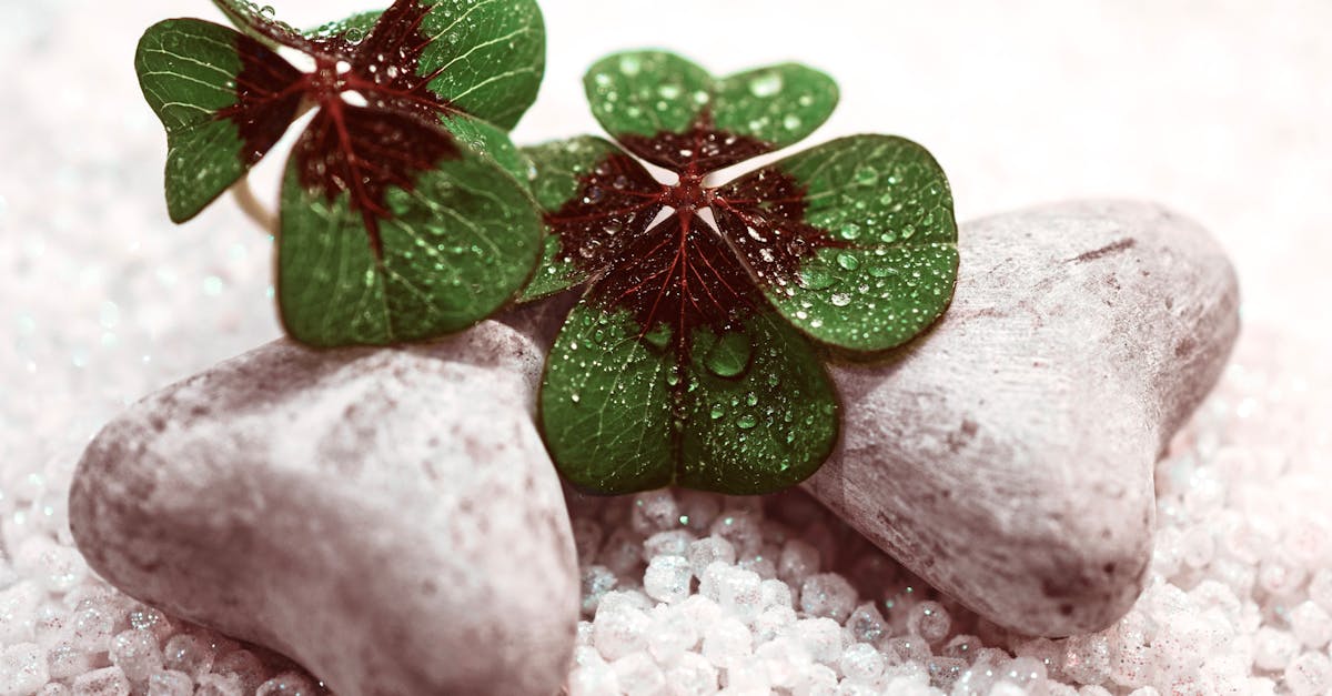 เลขเด็ดจากวันเกิด คำนวณเลขมงคลให้ตรงดวง