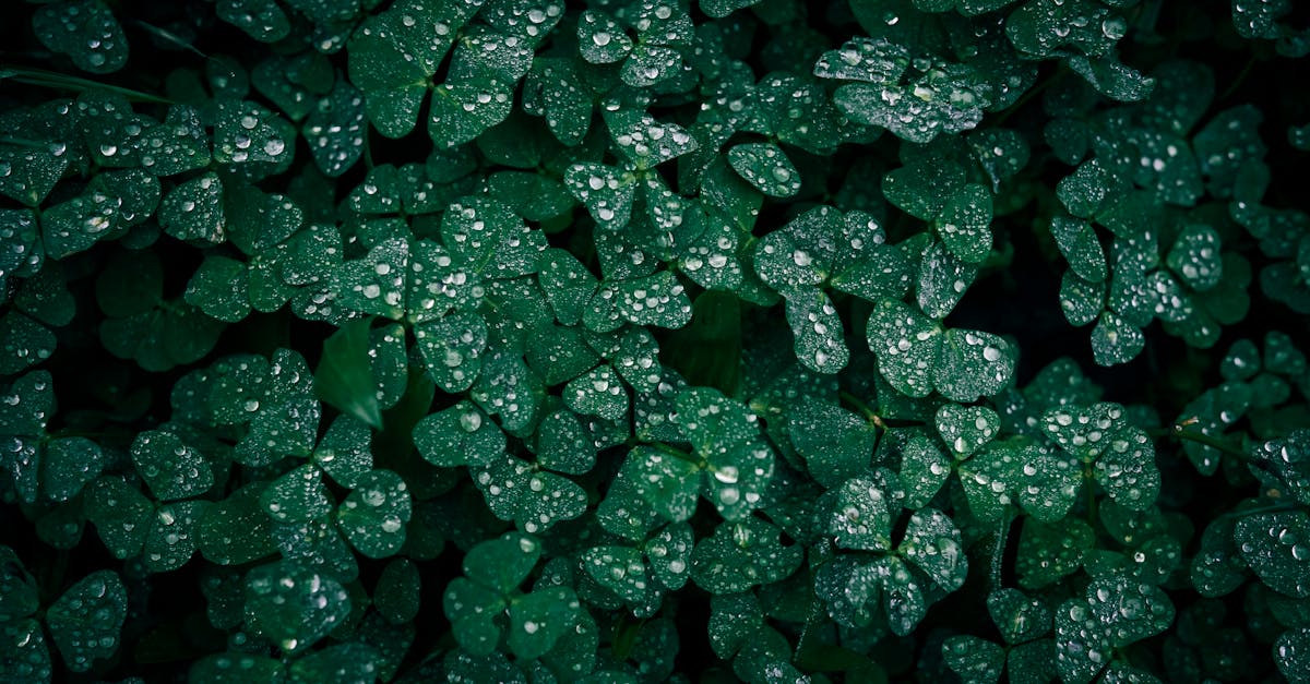 เลขเด็ดงวดนี้จากหวยซองดัง