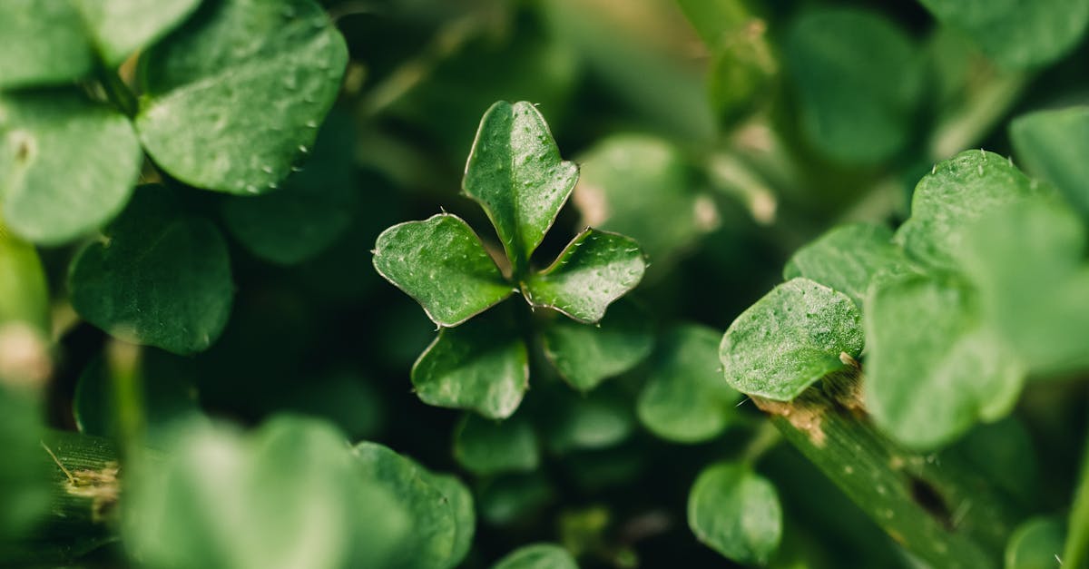 ภาพราศีดวงดีประจำสัปดาห์ ใครมีเกณฑ์รับทรัพย์