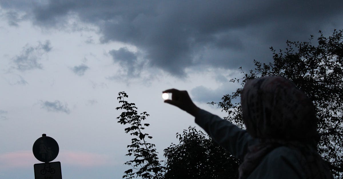 ภาพทำนายฝัน ฝันเห็นงู พร้อมความหมายและเลขเด็ด